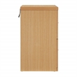 Scranton & Co 2-Drawer Locking Vertical File Cabinet in Natural Woodgrain