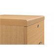 Scranton & Co 2-Drawer Locking Vertical File Cabinet in Natural Woodgrain