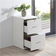 Scranton & Co 2-Drawer Locking Vertical File Cabinet in White Woodgrain