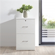 Scranton & Co 2-Drawer Locking Vertical File Cabinet in White Woodgrain