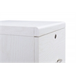 Scranton & Co 2-Drawer Locking Vertical File Cabinet in White Woodgrain