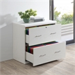 Scranton & Co 2-Drawer Locking Lateral File Cabinet in White Woodgrain