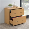 Scranton & Co 2-Drawer Locking Lateral File Cabinet in Natural Woodgrain