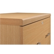 Scranton & Co 2-Drawer Locking Lateral File Cabinet in Natural Woodgrain