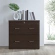 Scranton & Co 2-Drawer Locking Lateral File Cabinet in Espresso Woodgrain