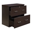 Scranton & Co 2-Drawer Locking Lateral File Cabinet in Espresso Woodgrain