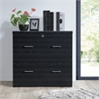 Scranton & Co 2-Drawer Locking Lateral File Cabinet in Black Woodgrain