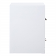 Scranton & Co 2-Drawer Locking Metal File Cabinet in White Assembled