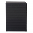 Scranton & Co 2-Drawer Locking Metal File Cabinet in Black Assembled