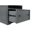 Scranton & Co Engineered Wood Printer and File Cabinet in Plantation Gray