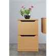 Scranton & Co 2-Drawer Vertical File Cabinet in Natural Scandinavian Finish