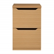 Scranton & Co 2-Drawer Vertical File Cabinet in Natural Scandinavian Finish