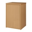 Scranton & Co 2-Drawer Vertical File Cabinet in Natural Scandinavian Finish