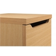 Scranton & Co 2-Drawer Vertical File Cabinet in Natural Scandinavian Finish