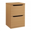Scranton & Co 2-Drawer Vertical File Cabinet in Natural Scandinavian Finish