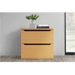 Scranton & Co 2-Drawer Lateral File Cabinet in Natural Scandinavian Finish