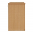 Scranton & Co 2-Drawer Lateral File Cabinet in Natural Scandinavian Finish