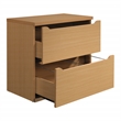 Scranton & Co 2-Drawer Lateral File Cabinet in Natural Scandinavian Finish