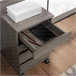 Scranton & Co 4-Drawer Mobile Storage Cart in Farm Oak Engineered Wood