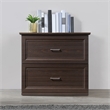 Scranton & Co 2-Drawer Lateral File Cabinet in Espresso Engineered Wood