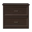 Scranton & Co 2-Drawer Lateral File Cabinet in Espresso Engineered Wood