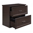 Scranton & Co 2-Drawer Lateral File Cabinet in Espresso Engineered Wood