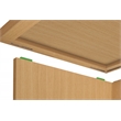 Scranton & Co 2-Drawer Lateral File Cabinet in Espresso Engineered Wood