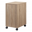 Scranton & Co 3 Drawer Mobile File Cabinet in River Oak Engineered Wood