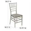 Scranton & Co Premium Resin Stacking Chair in Champagne Finish