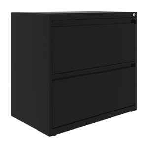 Scranton & Co Metal 2-Drawer Lateral File Cabinet in Black