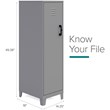 Scranton & Co 4-Shelf Metal Storage Locker Cabinet in Arctic Silver