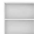 Scranton & Co 60 Inch Solid Hardwood Bookcase with Storage in White