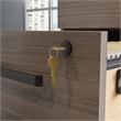 Scranton & Co 2-Drawer Mobile Filing Cabinet in Hudson Elm Finish