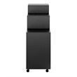 Scranton & Co 3-Piece Engineered Wood Storage Cabinet Set in Black