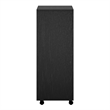 Scranton & Co 3-Piece Engineered Wood Storage Cabinet Set in Black