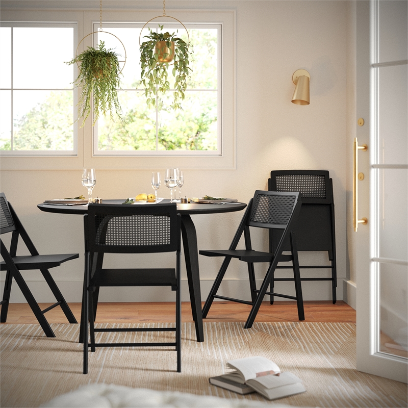 Scranton & Co Set of 2 Cane Rattan Folding Chairs in Black Finish