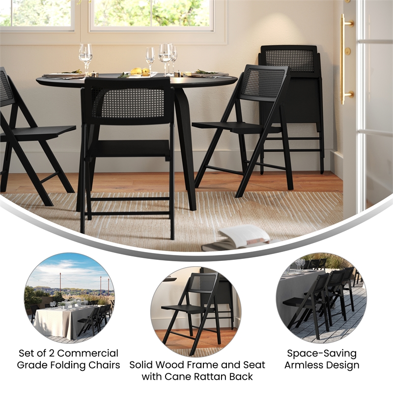 Scranton & Co Set of 2 Cane Rattan Folding Chairs in Black Finish