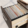 Scranton & Co 2-Drawer Mobile Filing Cabinet with Lock in Noble Elm