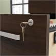 Scranton & Co 2-Drawer Mobile Filing Cabinet with Lock in Noble Elm