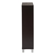 Hawthorne Collection Shoe Cabinet in Dark Brown
