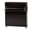Hawthorne Collection Shoe Cabinet in Dark Brown