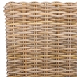 Hawthorne Collection Mango Dining Chair in Natural (Set Of 2)