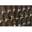 Honeycomb Solid Mango Wood Two Door Cabinet