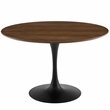 Hawthorne Collections 48