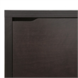 Atlin Designs Engineered Wood Dark Brown Shoe Cabinet Rectangular 52.7