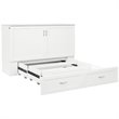 Atlin Designs Traditional Solid Wood Queen Murphy Bed Chest in White