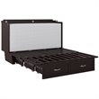 Atlin Designs Mid-Century Solid Wood Queen Murphy Bed Chest in Espresso