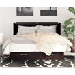 Atlin Designs Mid-Century Solid Wood Queen Murphy Bed Chest in Espresso