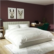 Atlin Designs Modern Upholstered King Bed with Storage Drawers