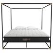 Atlin Designs Modern Canopy Metal Bed King Size Frame in Black/Gold